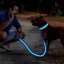 LED Glowing Dog Collar – Adjustable Flashing Night Safety