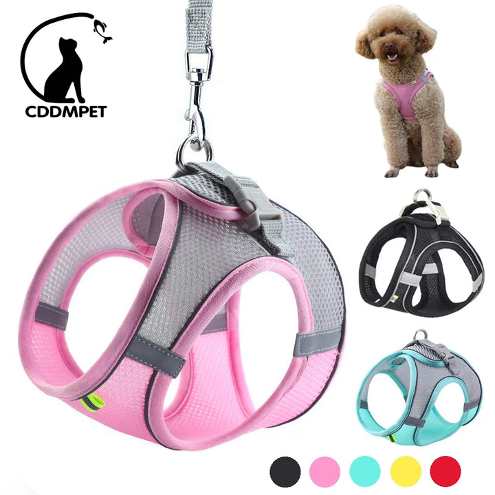 Dog Harness & Leash Set – Adjustable Vest for Small Dogs & Cats
