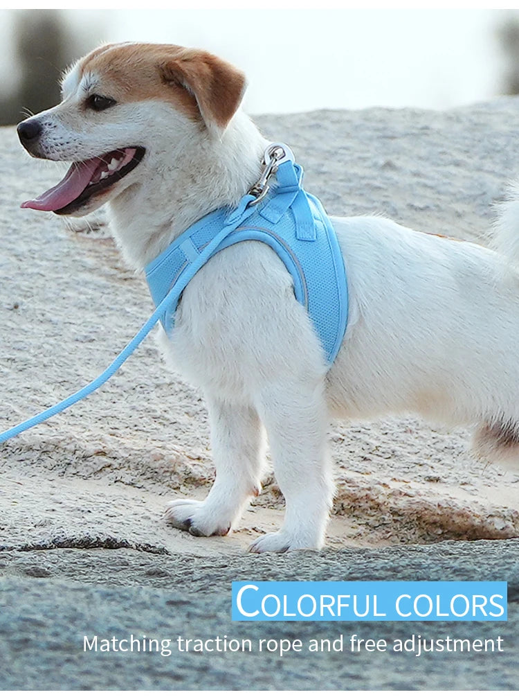 Reflective Dog Harness & Leash Set