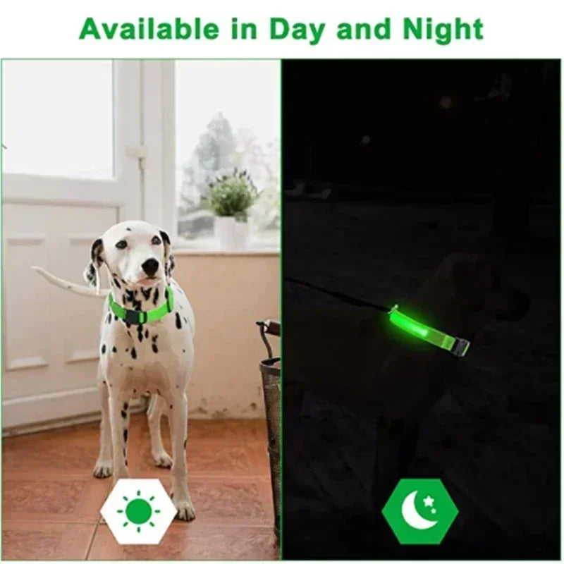 LED Glowing Dog Collar – Rechargeable Flashing Night Safety