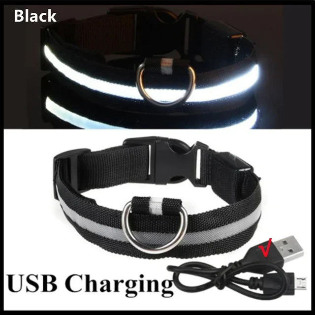LED Glowing Dog Collar – Adjustable Flashing Night Safety