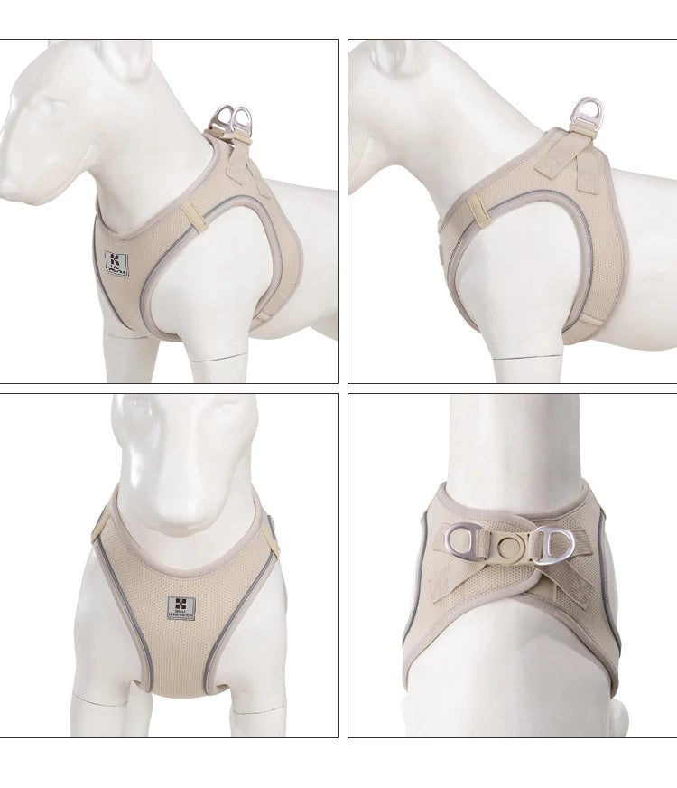 Reflective Dog Harness & Leash Set