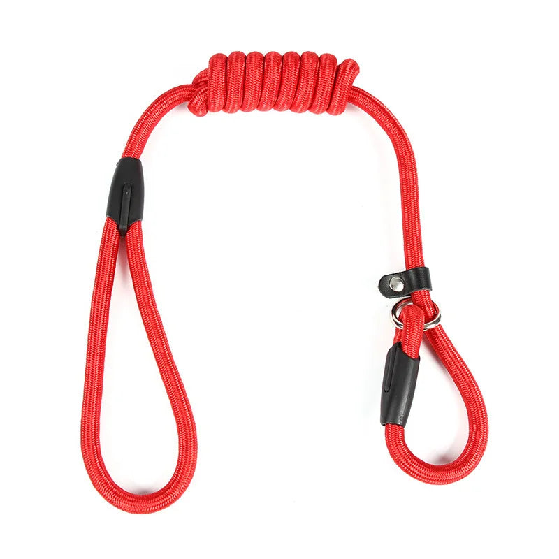 Adjustable Nylon Dog Leash – Training Lead & Harness Strap
