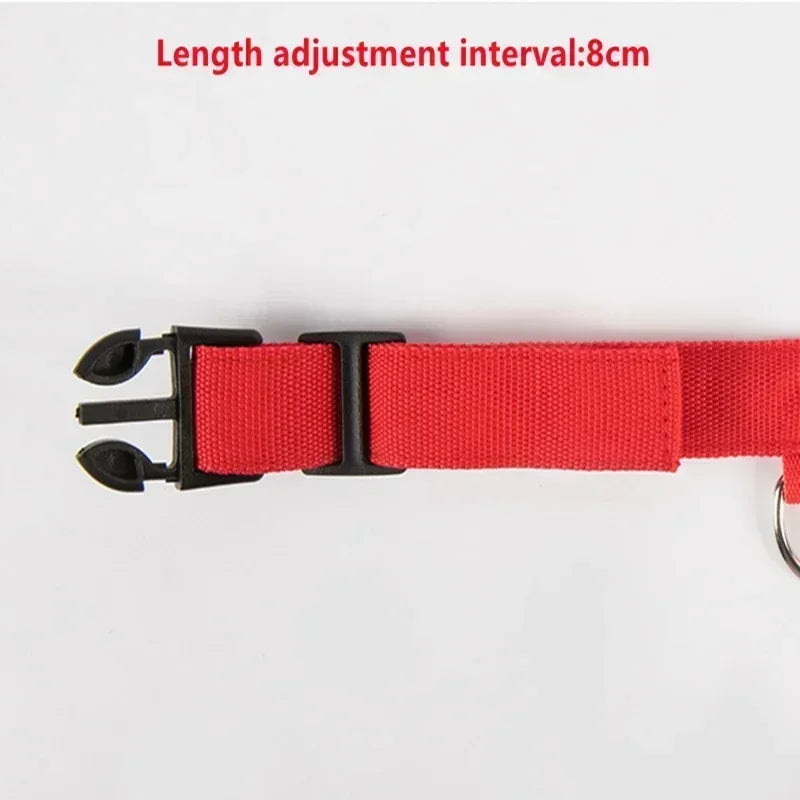 LED Glowing Dog Collar – Adjustable Flashing Night Safety