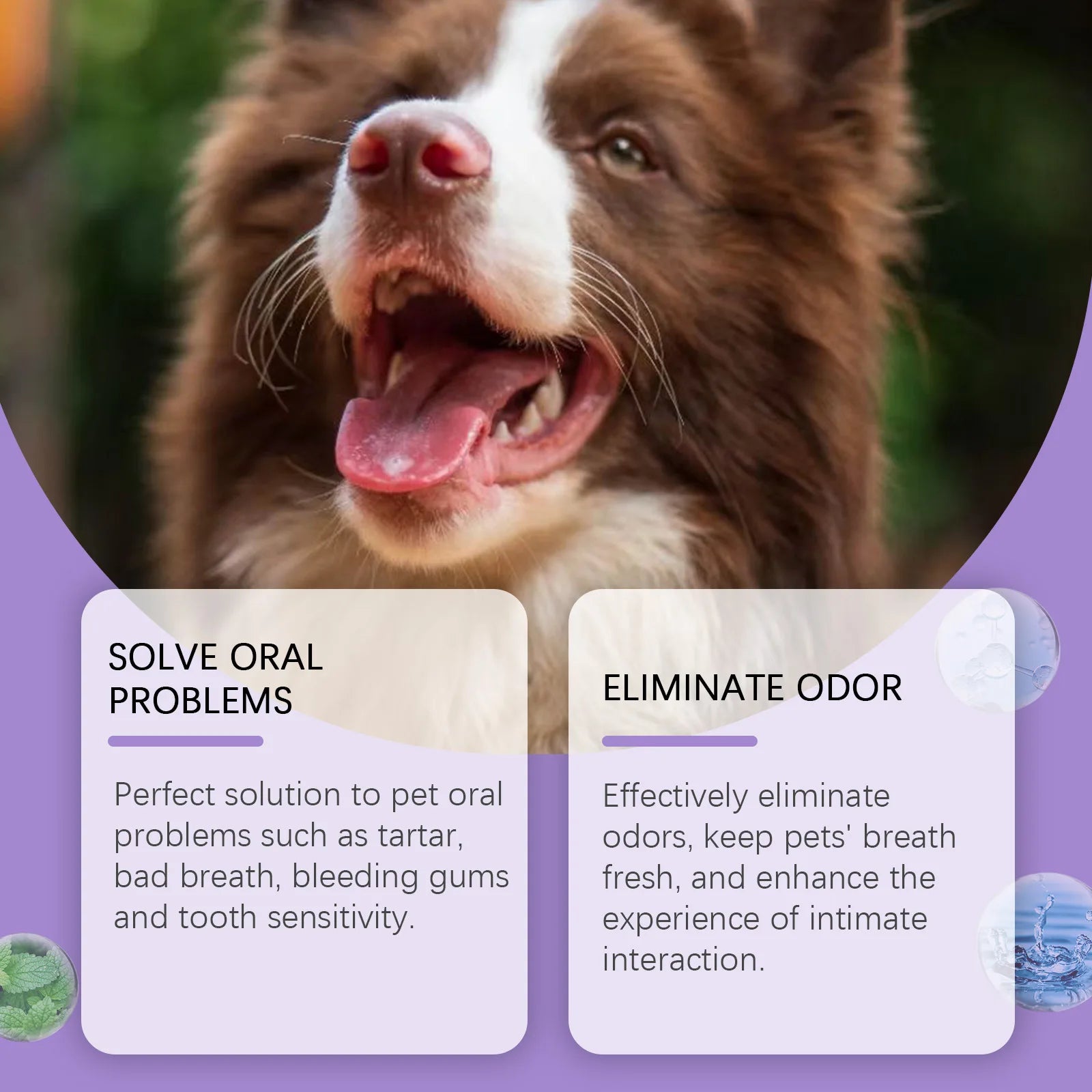 Pet Oral Cleaning Spray – 50ml Teeth Cleaner for Dogs & Cats