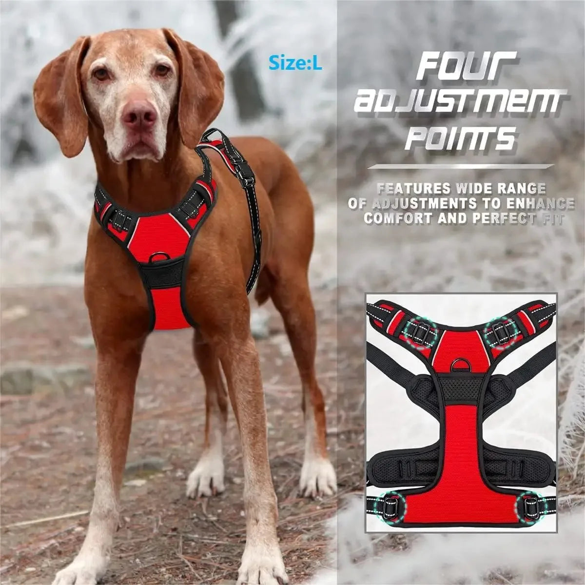 Dog Collar & Harness Set
