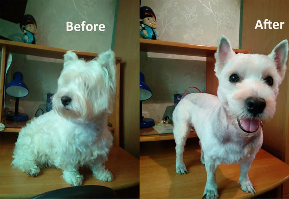 Professional All-Metal Pet Hair Clipper – Rechargeable & Low Noise