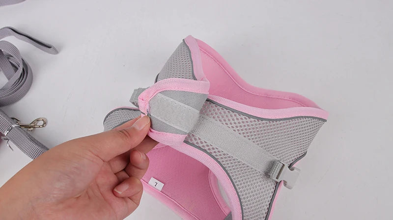 Dog Harness & Leash Set – Adjustable Vest for Small Dogs & Cats