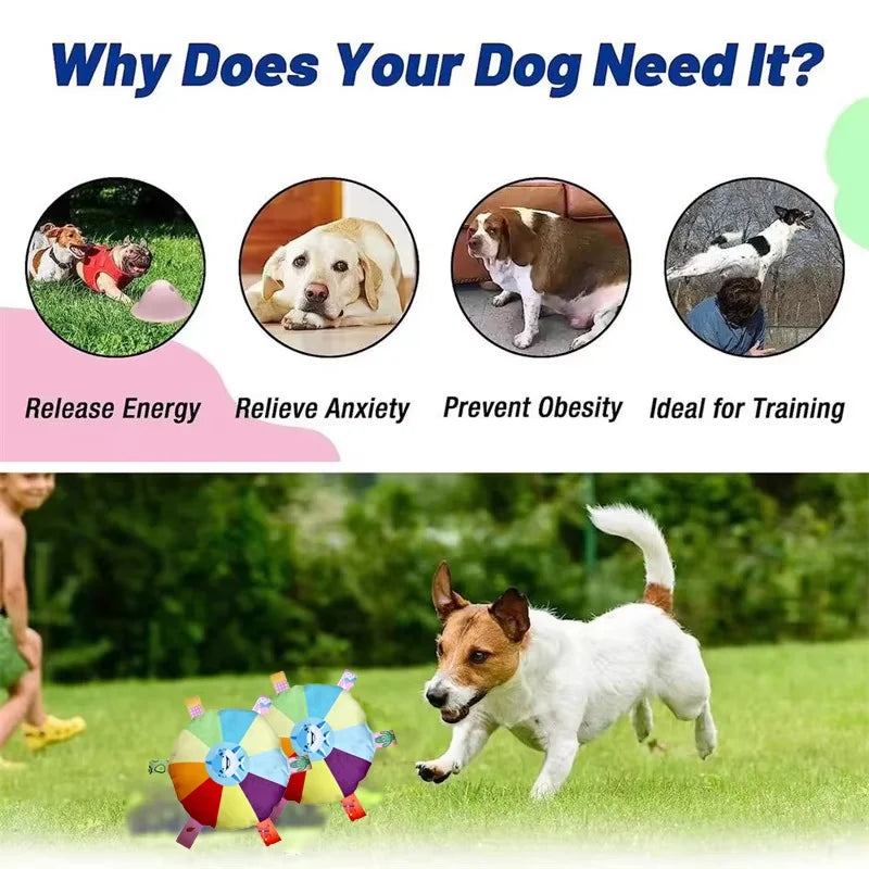 Rainbow Plush Flying Saucer Dog Toy – Interactive Chew & Bell Toy