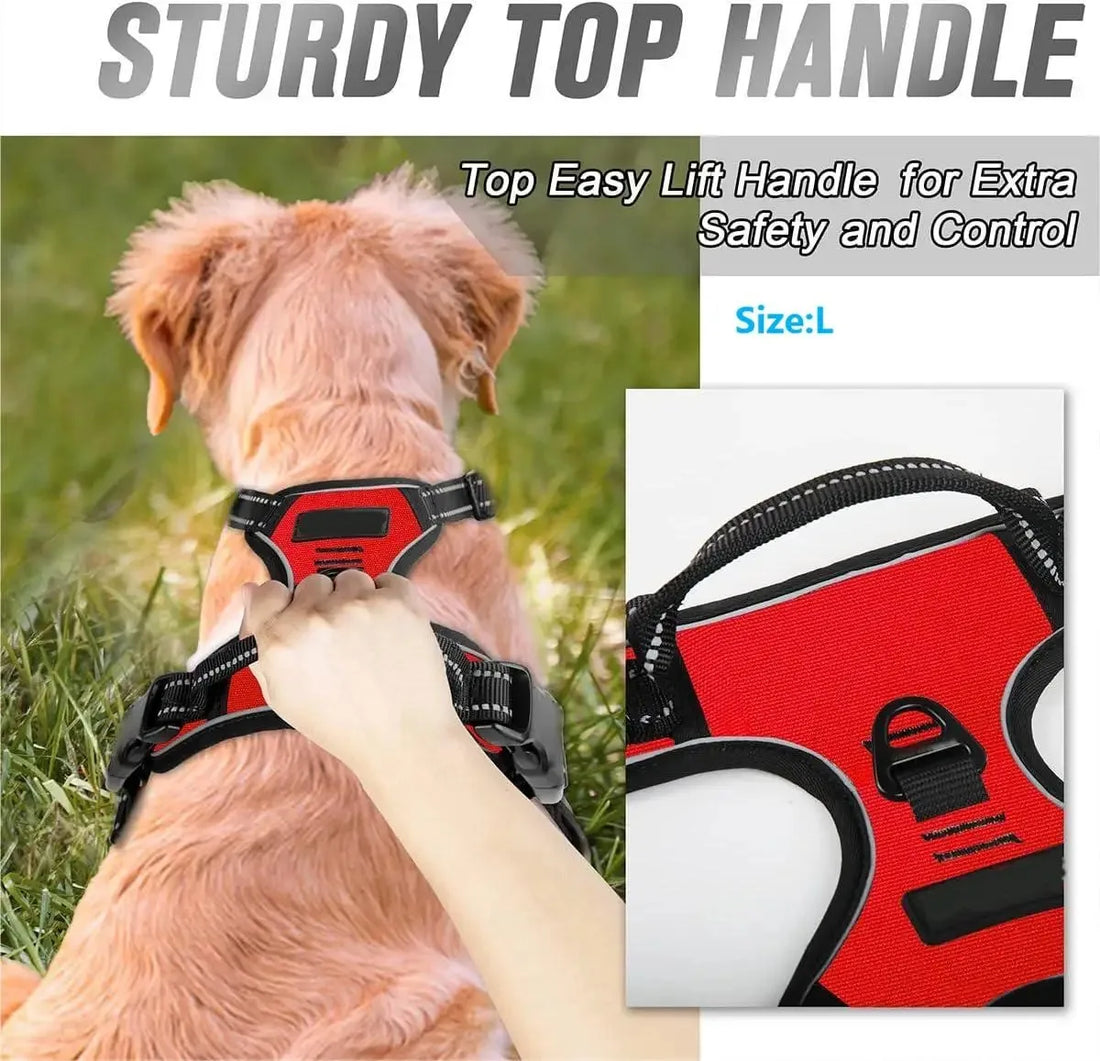 Dog Collar & Harness Set