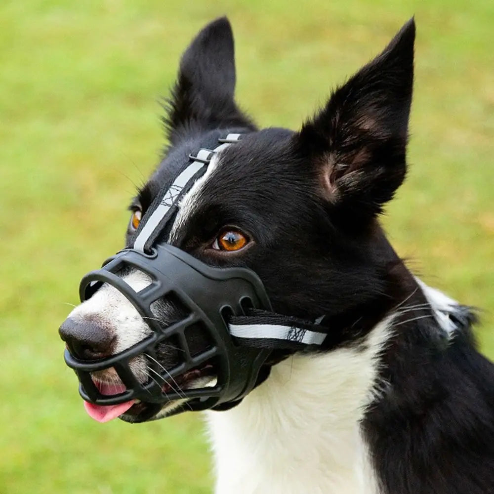 Adjustable Dog Muzzle – Anti-Biting with Reflective Strip