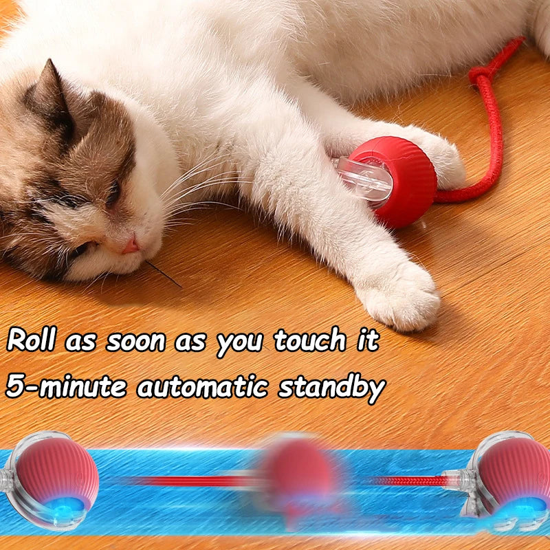 Interactive Rolling Ball Toy – Smart Rechargeable Pet Toy for Cats & Dogs