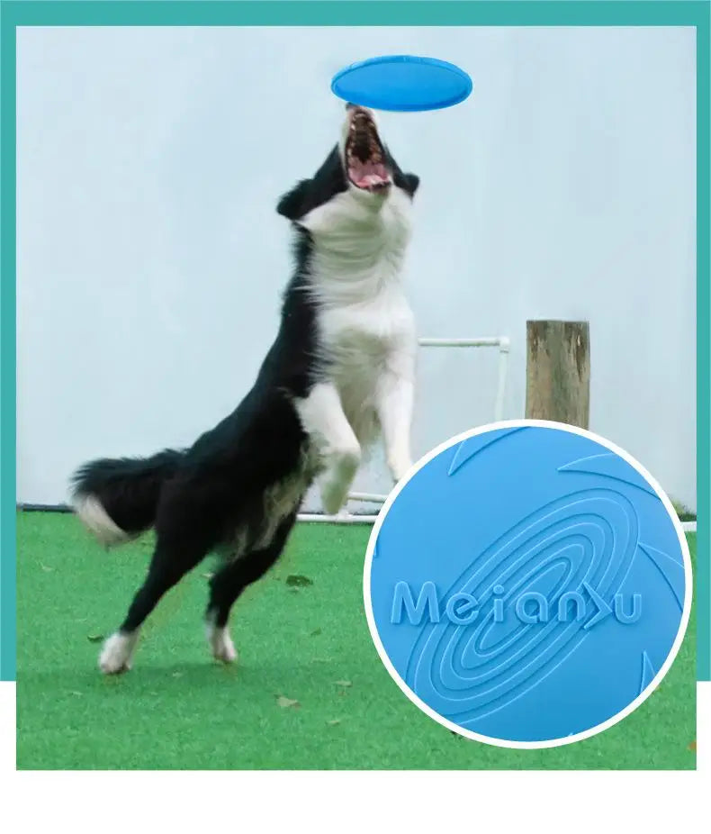 OUZEY Bite-Resistant Flying Disc – Interactive Dog Toy