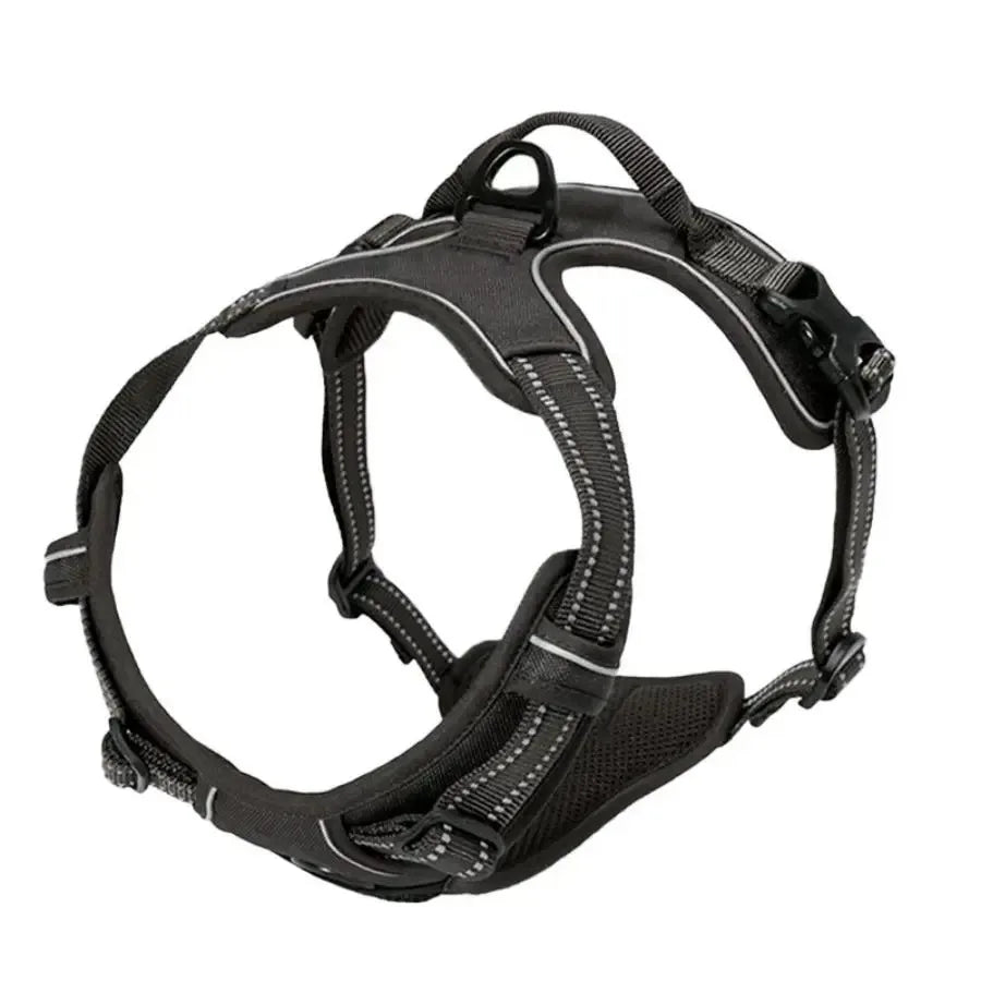 Dog Collar & Harness Set