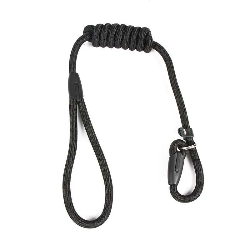 Adjustable Nylon Dog Leash – Training Lead & Harness Strap