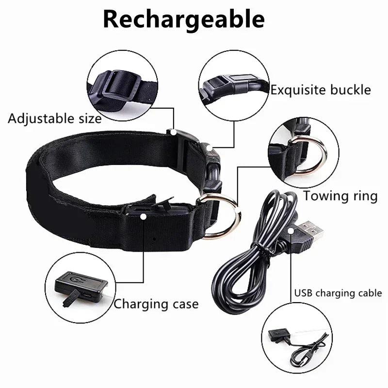 LED Glowing Dog Collar – Adjustable Flashing Night Safety